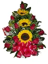 A221.webp