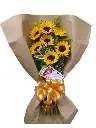 A229.webp