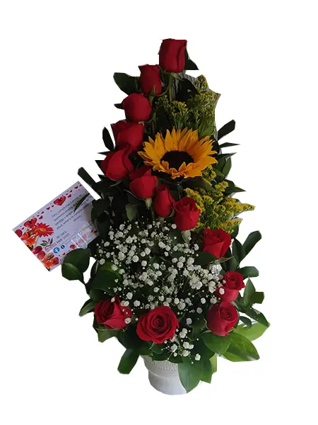 A256.webp