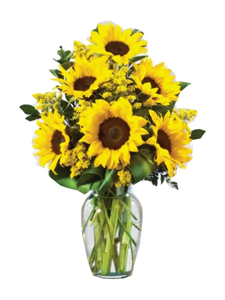 A266.webp