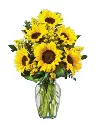 A266.webp