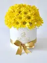A122.webp