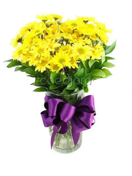 A087.webp