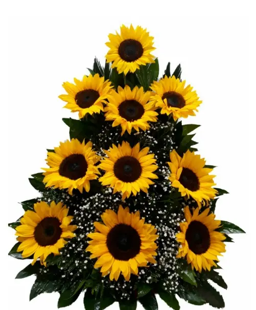A086.webp