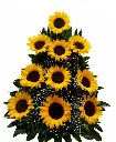 A086.webp