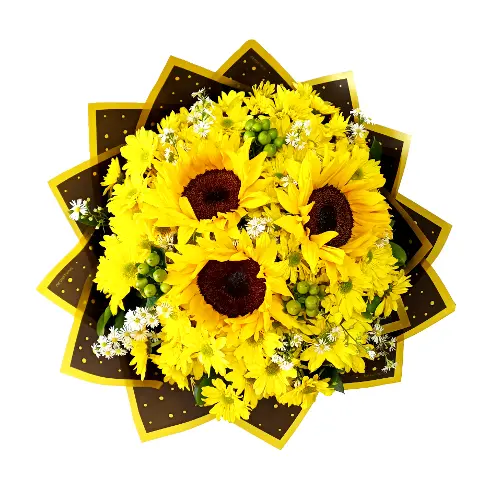 A157.webp
