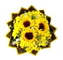 A157.webp