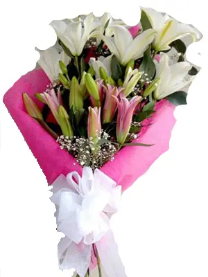 A275.webp