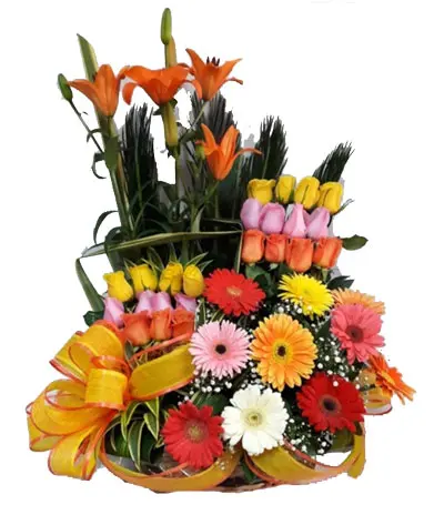 A040.webp