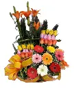 A040.webp