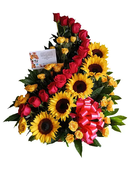 A196.webp