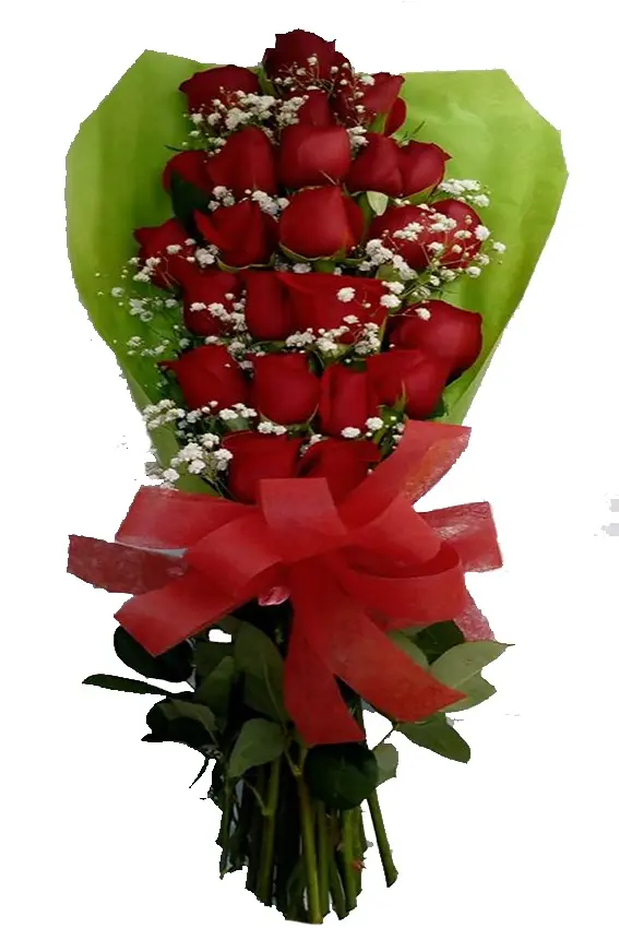 A222.webp