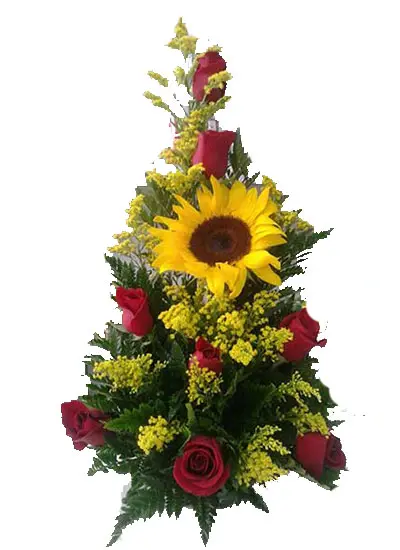 A094.webp