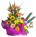 A197.webp