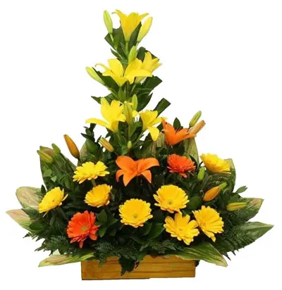 A187.webp