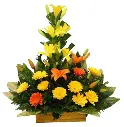 A187.webp