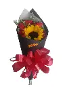 A228.webp