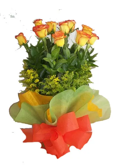 A258.webp