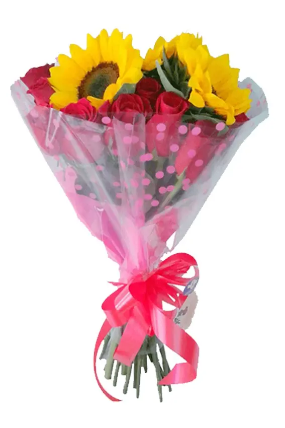 A033.webp