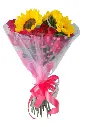 A033.webp