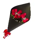 A045.webp
