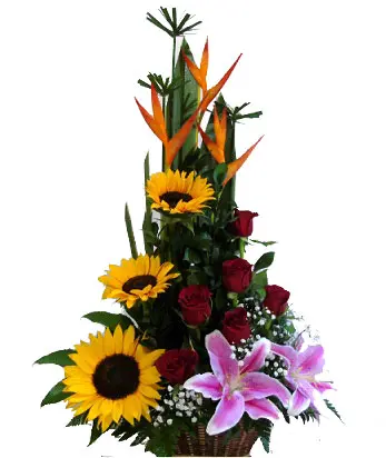 A047.webp