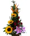 A047.webp