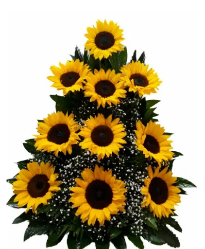 A086